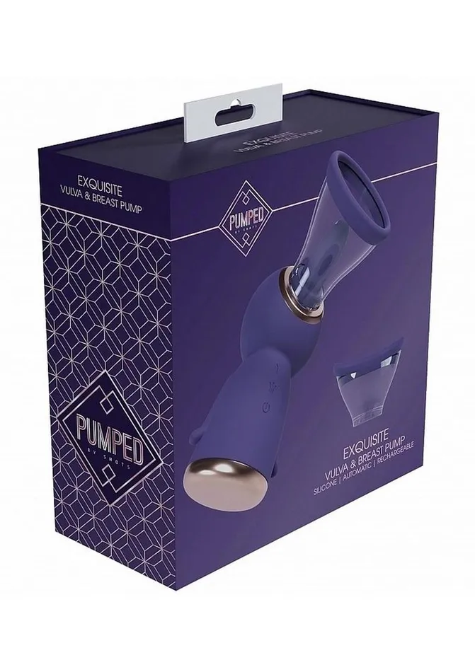 Pumped Exquisite Automatic 13 Speed Silicone Rechargeable Vulva and Breast Pump Pumped Female Sex Toys