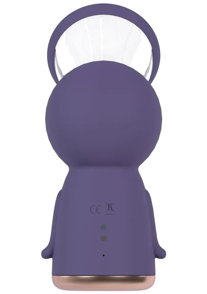 Pumped Exquisite Automatic 13 Speed Silicone Rechargeable Vulva and Breast Pump Pumped Female Sex Toys