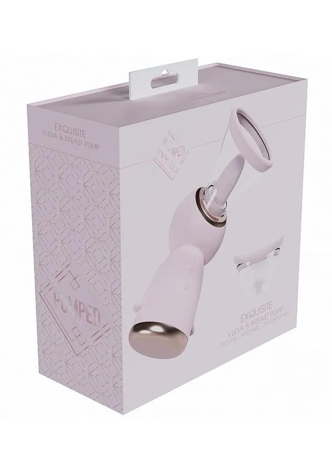 Pumped Exquisite Automatic 13 Speed Silicone Rechargeable Vulva and Breast Pump Pumped Female Sex Toys