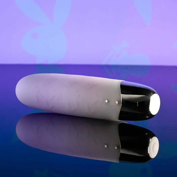 Playboy Bunny Bunch Playboy Vibrators